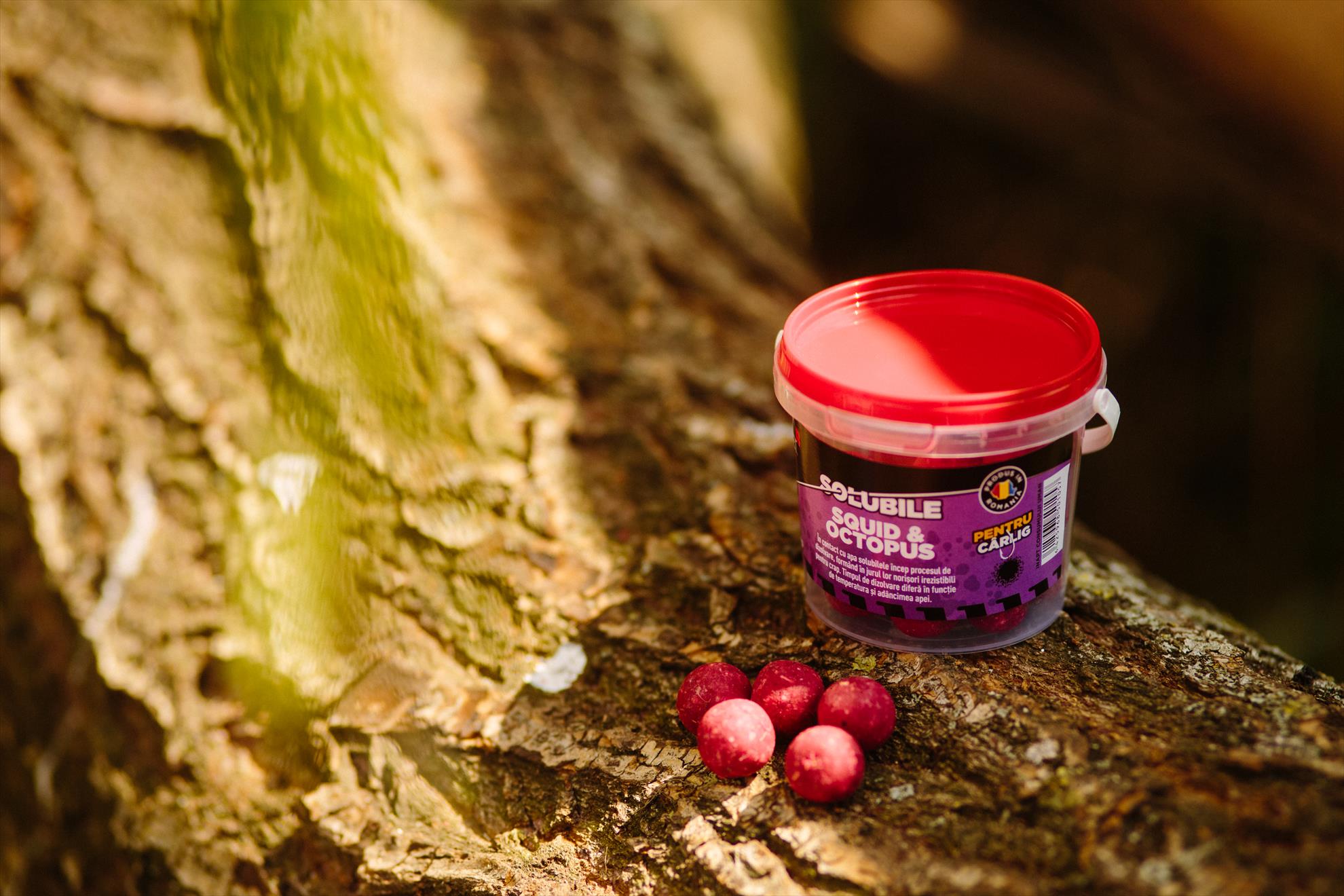 SNZ 2017 - senzor-pe-balta---044.jpg